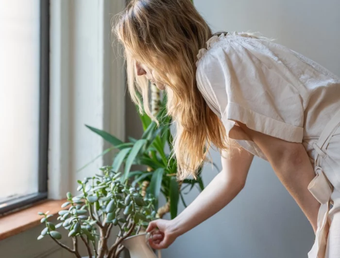 how to take care of houseplants while on vacation