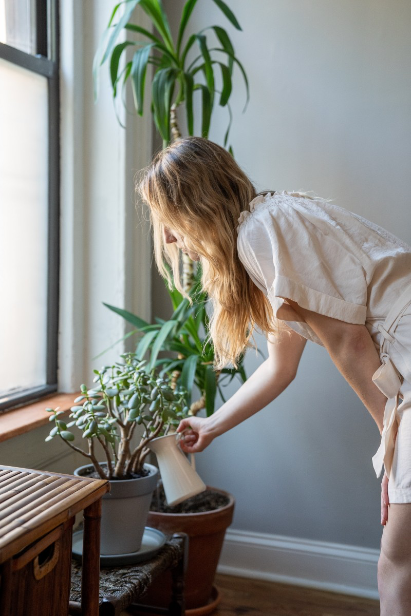 how to take care of houseplants while on vacation