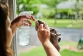 5 Common Cleaning Tips That Are Actually Myths