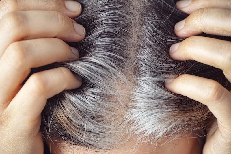 person holding their hair parted black and gray hairs