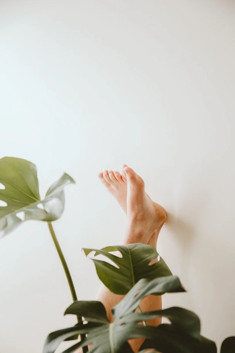 persons feet behind monstera plant