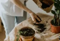 7 Things Plant Experts Do That You Probably Don’t