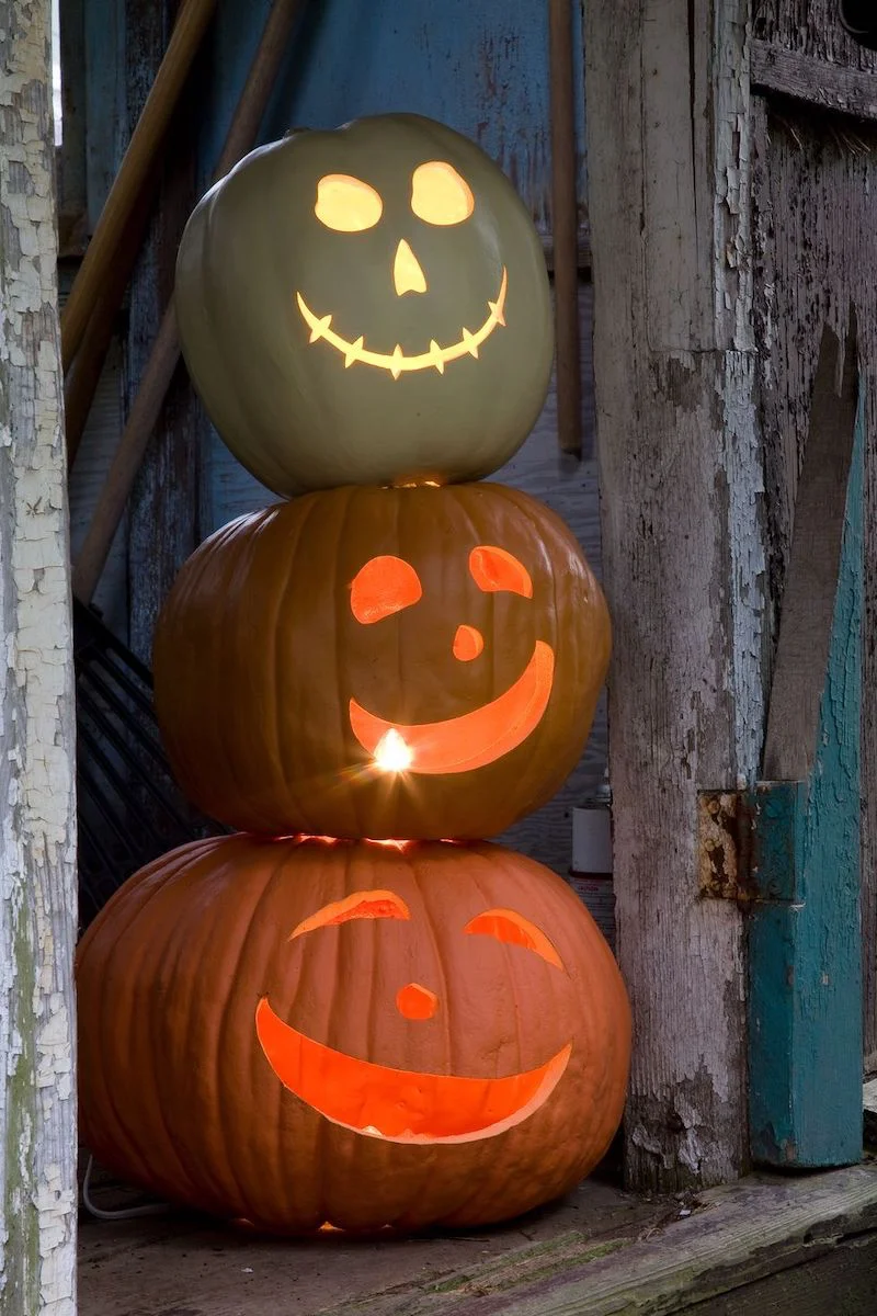 20+ Creative Pumpkin Carving Ideas To Try This Halloween