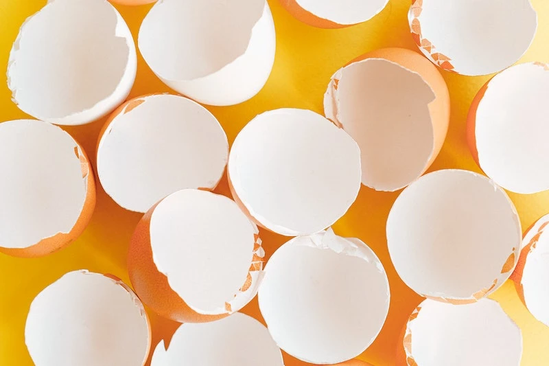 uses for eggshells egg shells clumped together