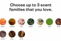 How to Smell Expensive When You Are on a Budget