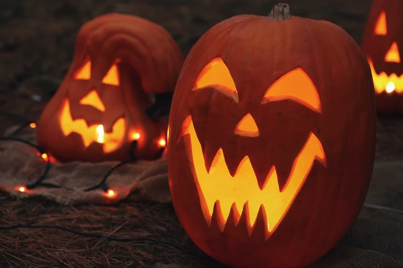 carved pumpkins for halloween