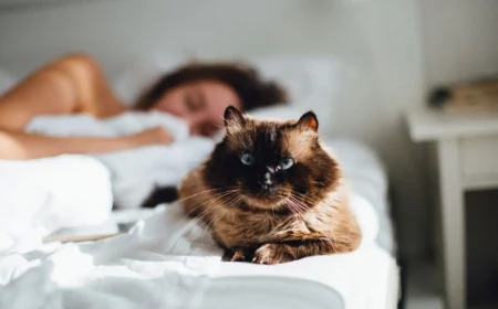 do you let your cat sleep with you