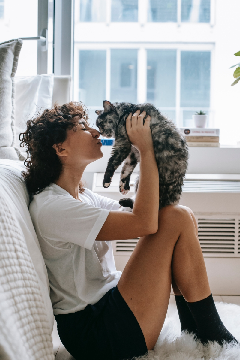 6 Surprising Health Benefits of Having a Cat at Home