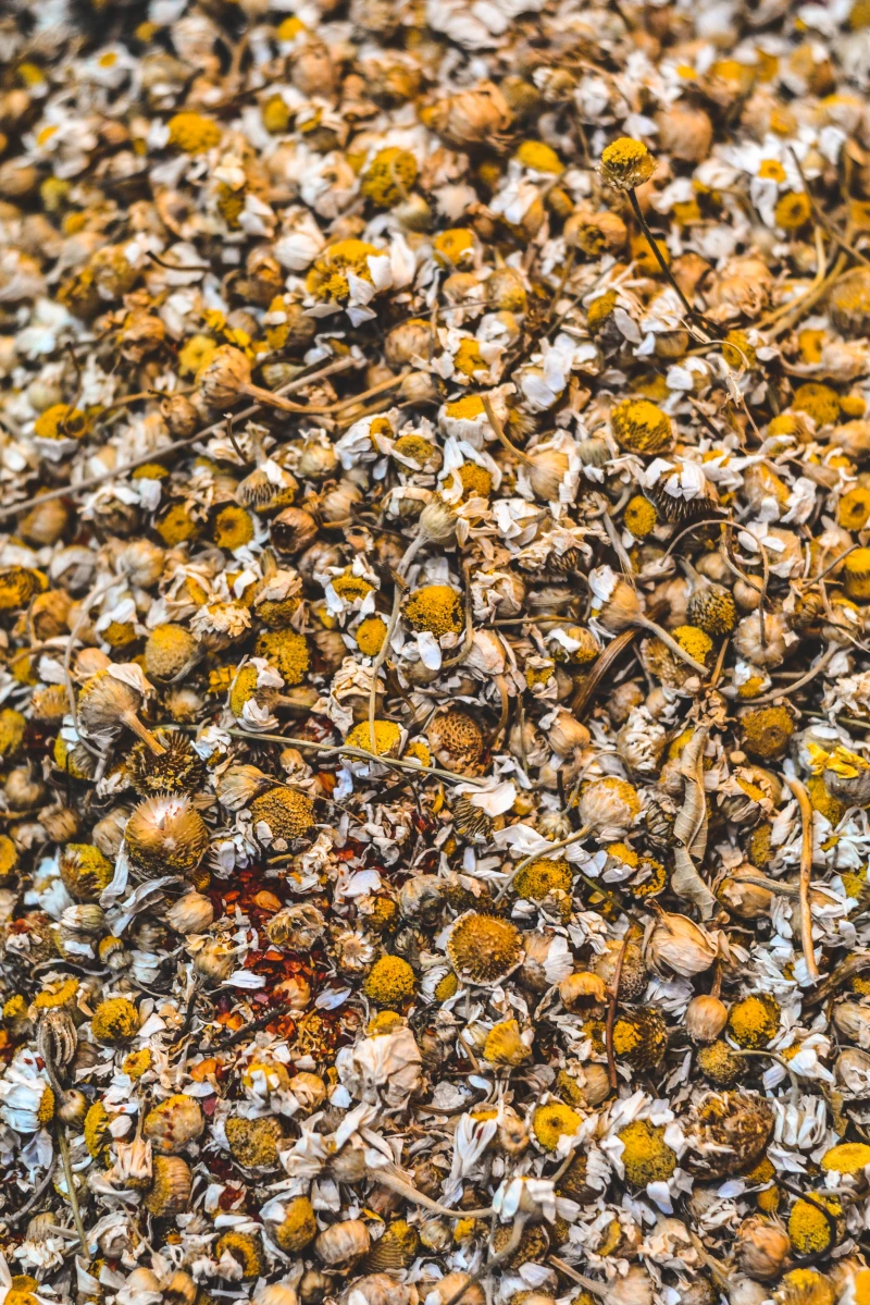 dried chamomile flowers