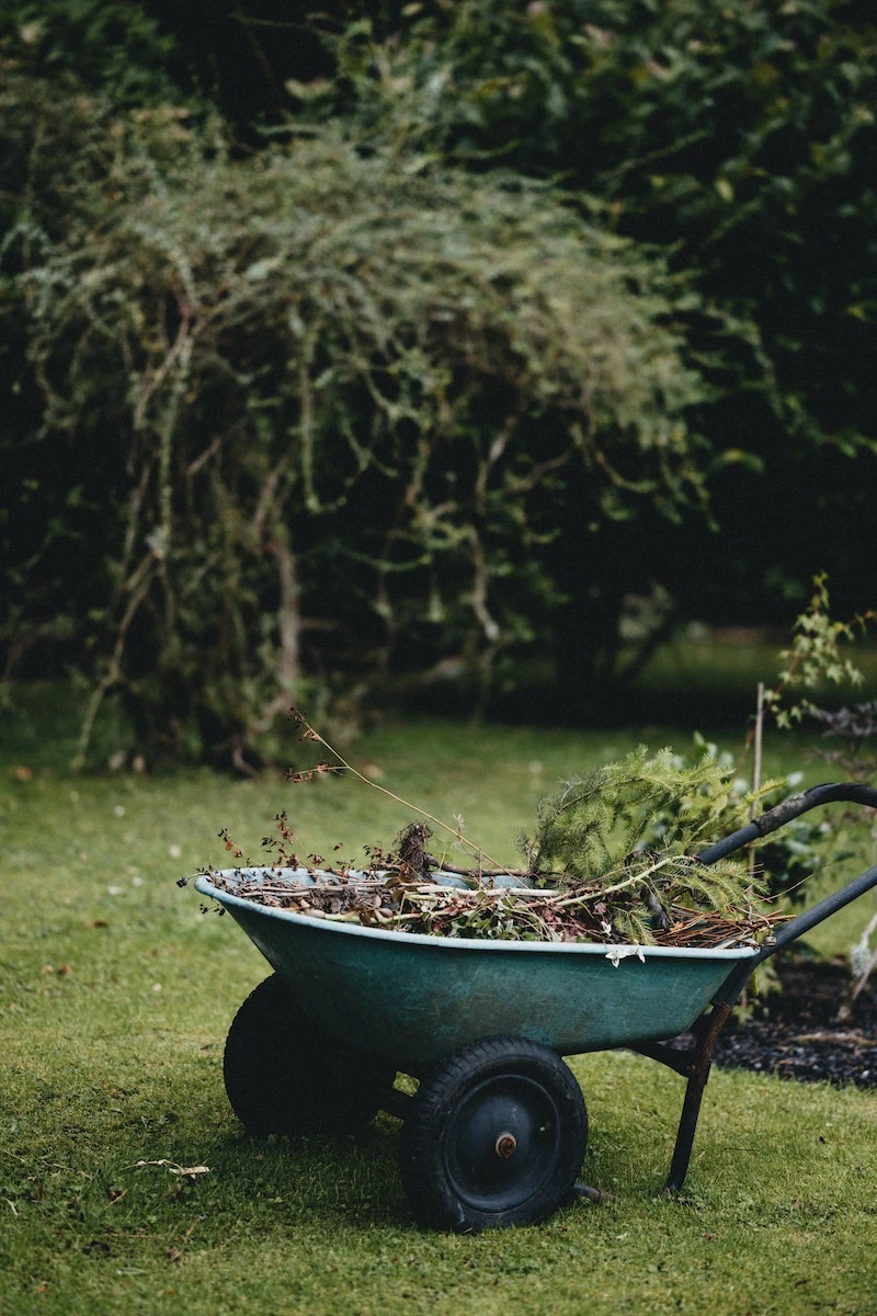 garden clean up wheel barrow filled with twigs