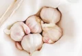 5 Most Powerful Natural Antibiotics To Beat An Infection