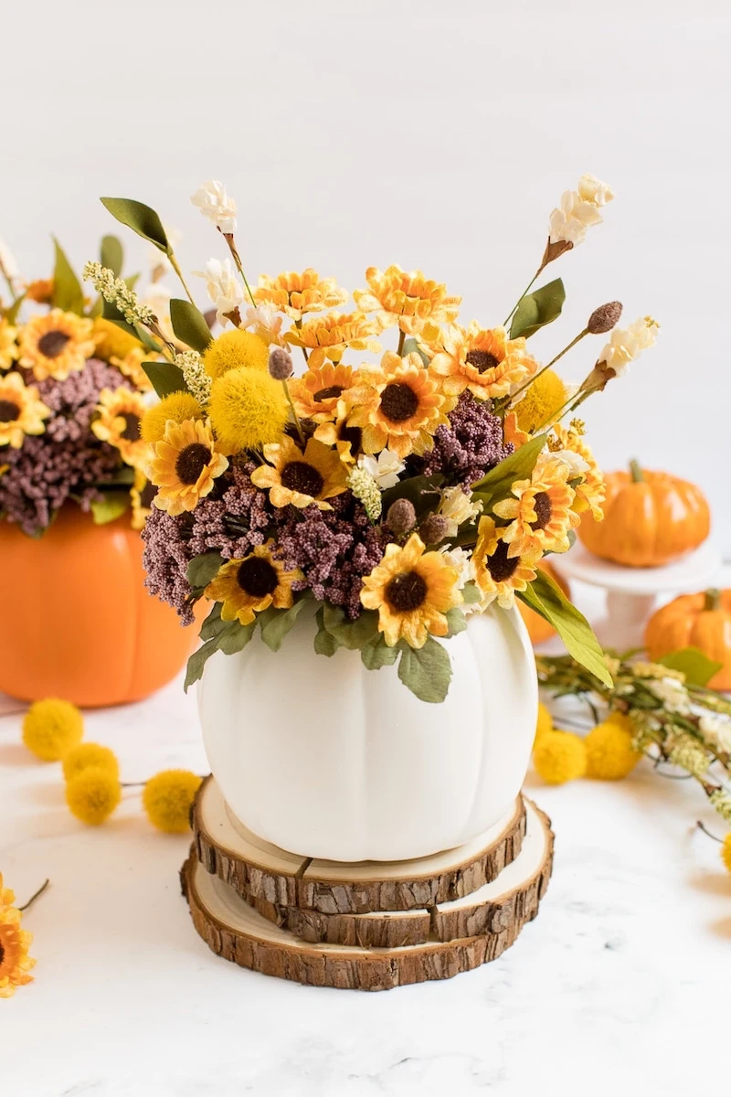 halloween pumpkins pumpkin in white as a vase