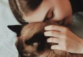 6 Surprising Health Benefits of Having a Cat at Home