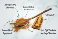 Honey and Cinnamon: 13 Unexpected Health Benefits of This Magical Elixir