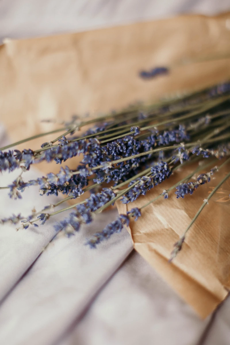 lavender plant sticks on brown paper bag