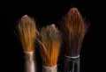 How To Clean Your Makeup Brushes The Right Way