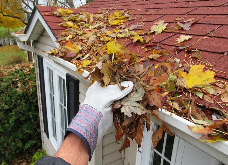 person cleaning leaves out of gutter