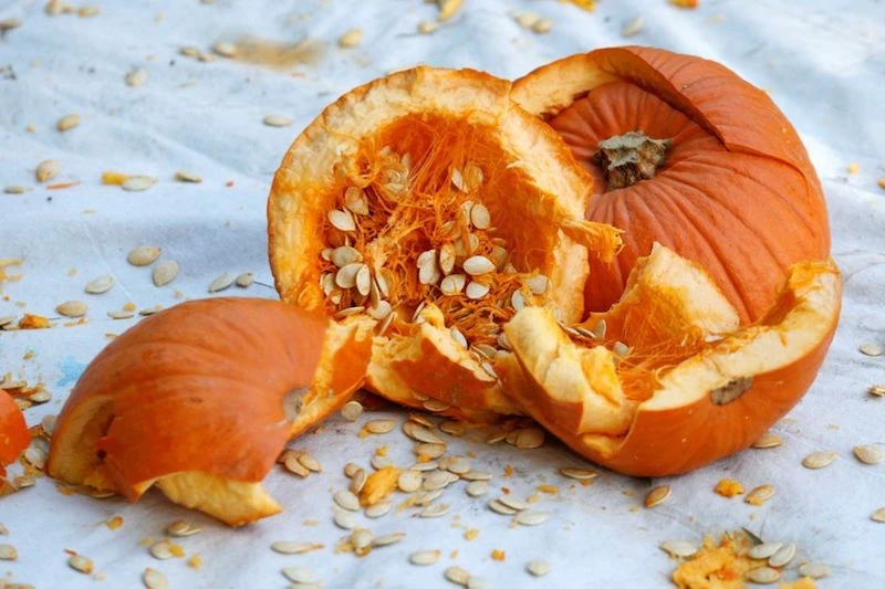 pumpkin broken with seeds inside