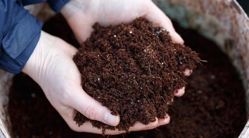 soil being touched in hands