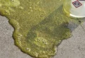 How To Remove Calcium Buildup (Limescale) At Home With Ease