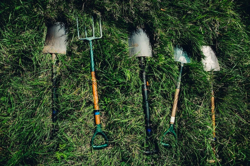 tools for gardening on grass
