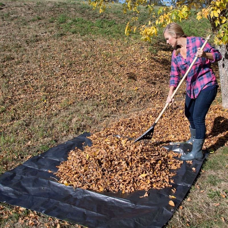 woman raking leaves on tarp