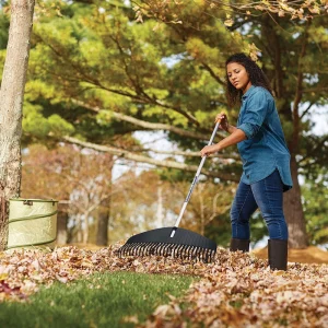 How To Rake Leaves The Right Way: 7 Tips To Save You Time