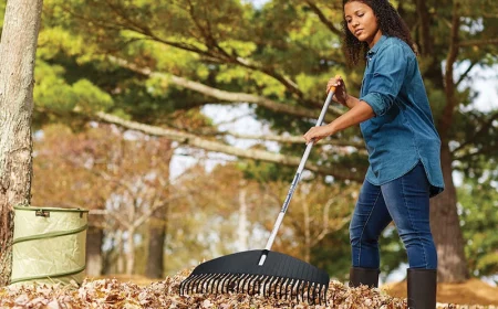 woman raking leaves with blue rake