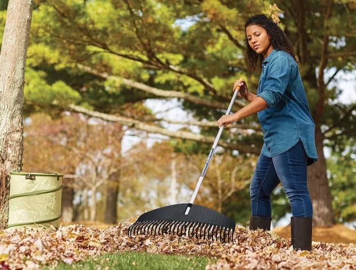 woman raking leaves with blue rake
