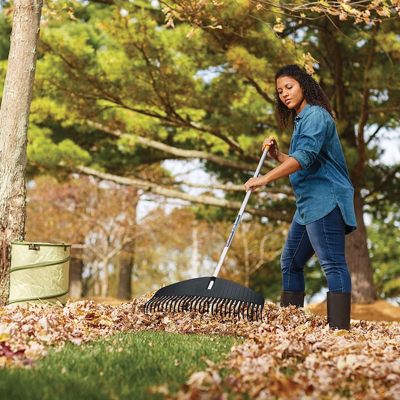 woman raking leaves with blue rake