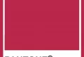 The Colors of The Year 2023, According to the Pantone Color Institute
