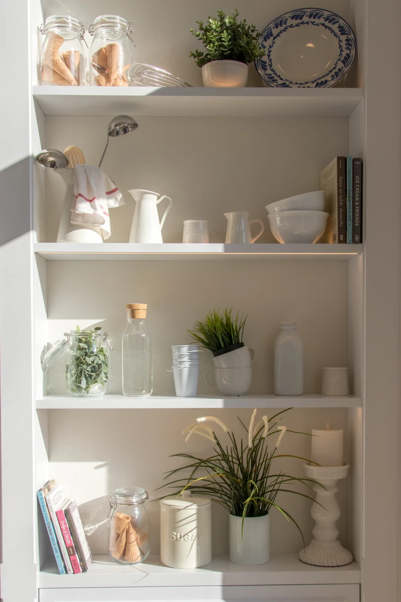 best kitchen plants plants on white shelves