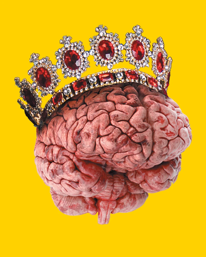 brain with a crown on it