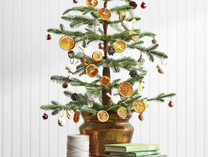 diy christmas ornaments citrus