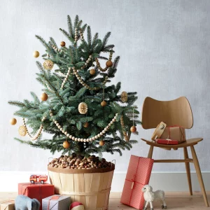 How to Decorate Your Christmas Tree According to Feng Shui