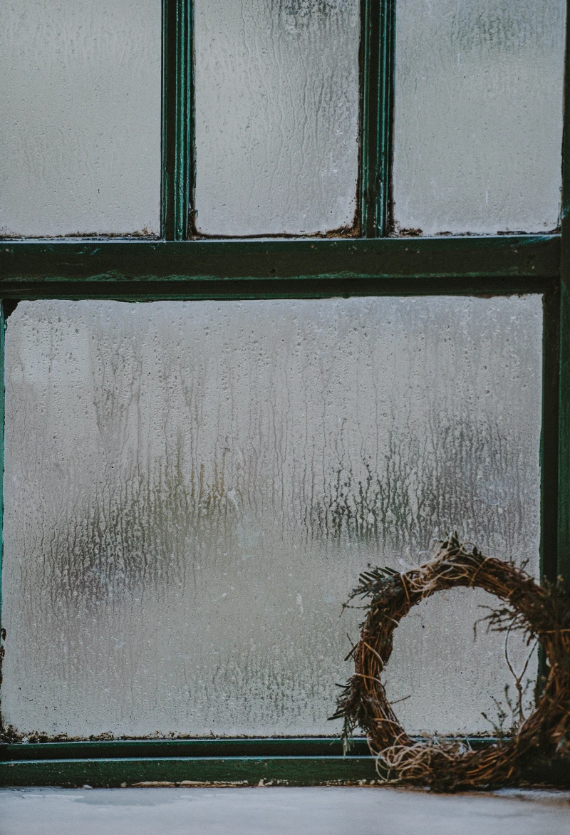 green window with condensation