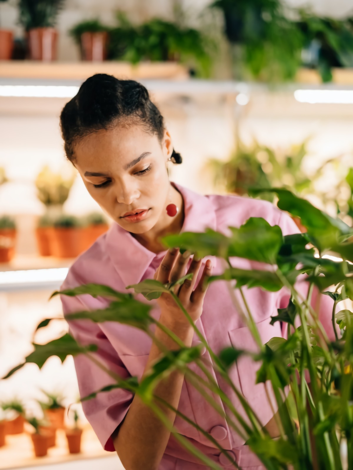 5 Lucky Houseplants For 2023 That Attract Positive Vibes & Prosperity