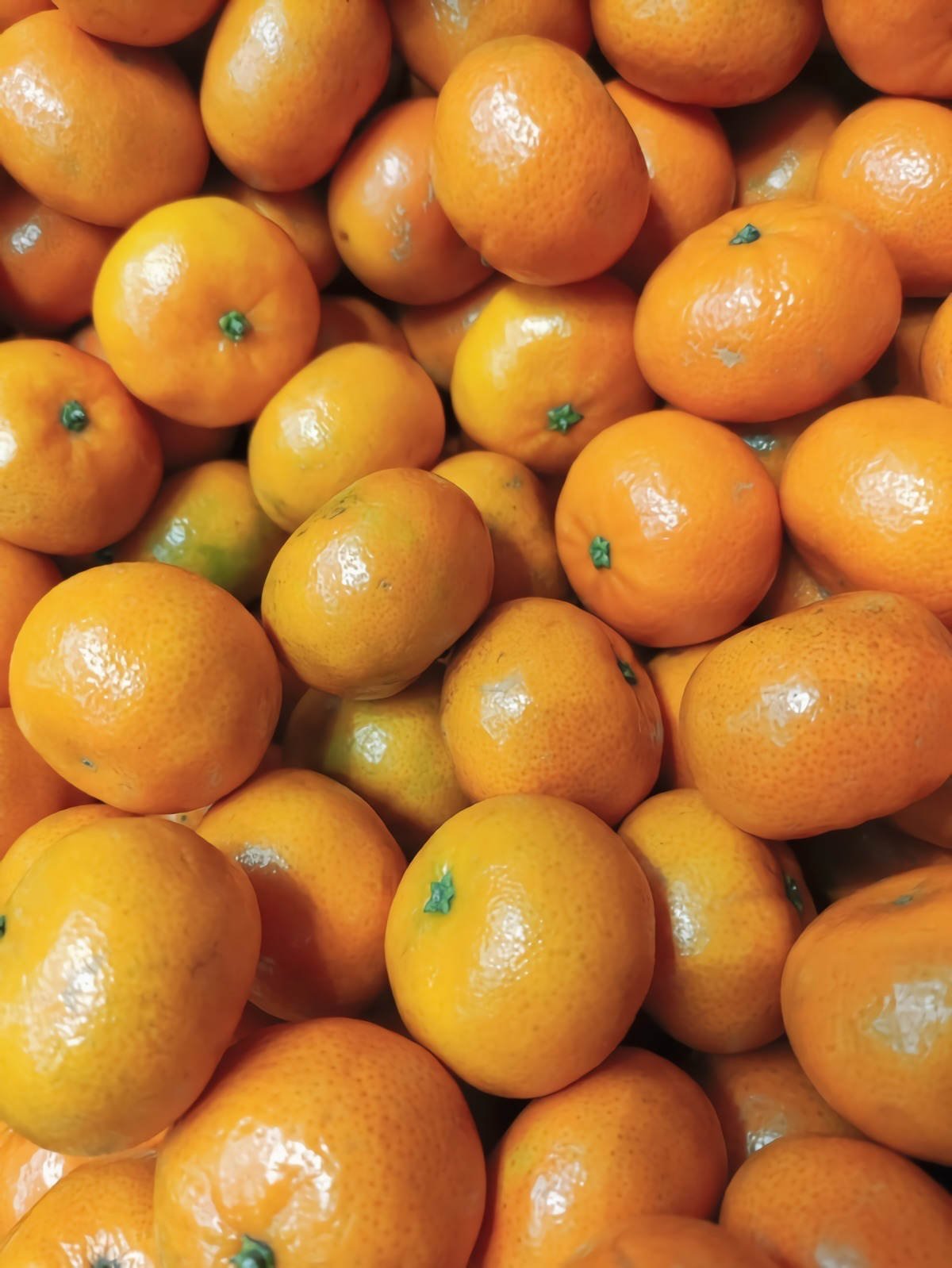 sweetest tangerine variety