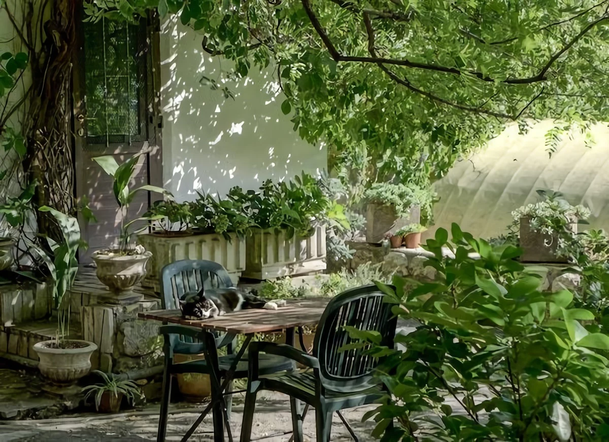 beautiful green garden with table and chairs