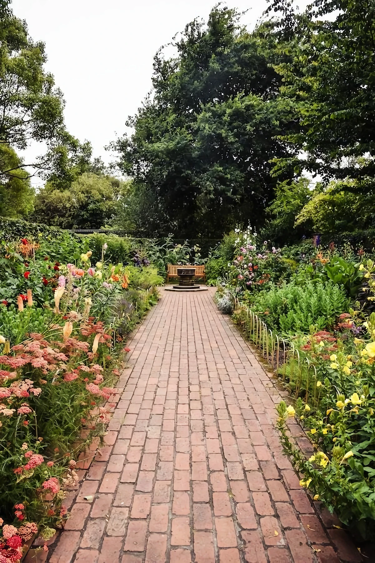 bewilding garden with brick path