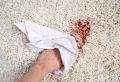7 Most Common Carpet Stains And How To Easily Remove Them