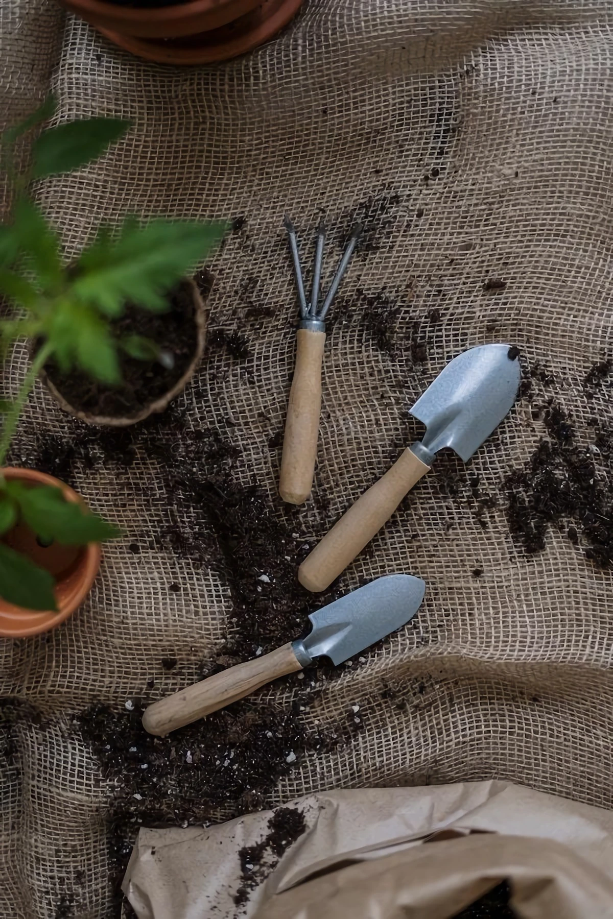 different gardening tools