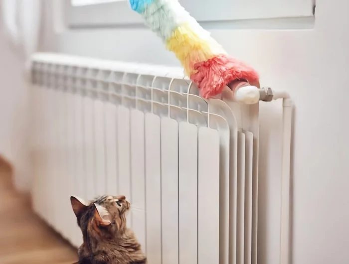 dust brushing the radiator
