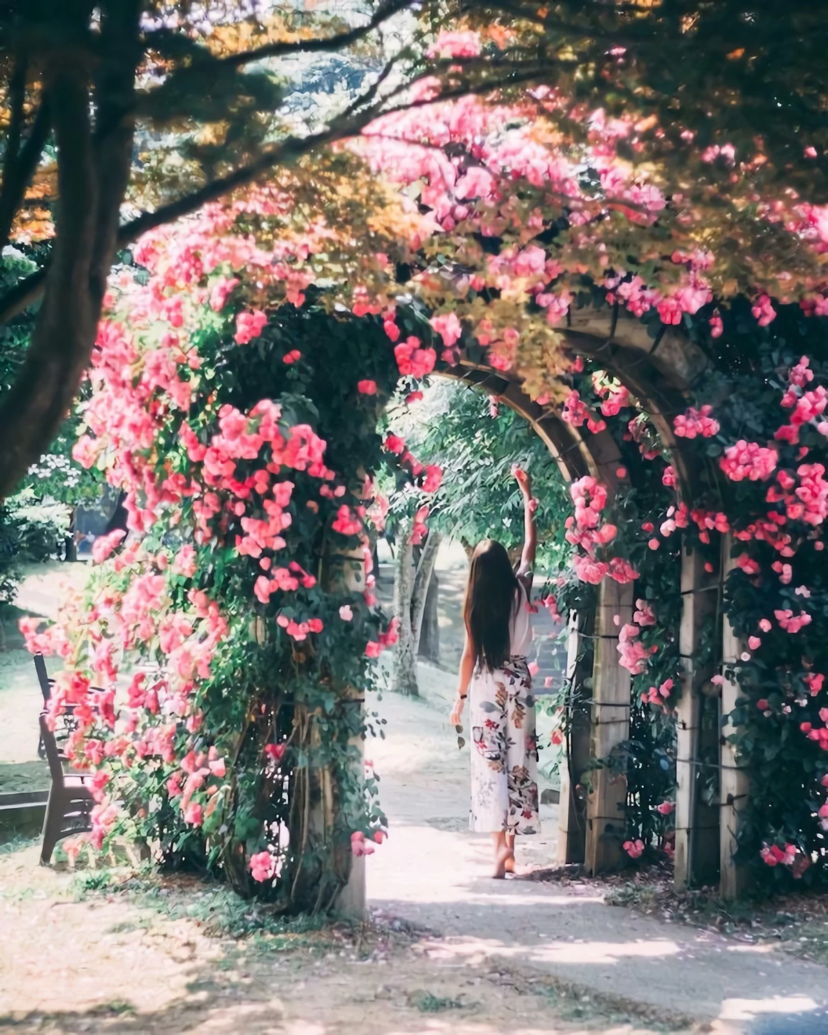 full lush arch with pink flowers