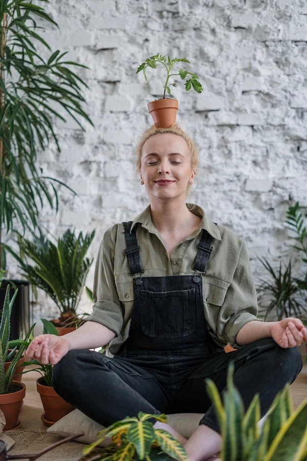 houseplant trends woman with potted plant on her head