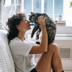 How Do Cats Show Affection? 7+ Ways Your Cats Says "I Love You"