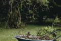 How to Prepare Your Garden For Spring (5 Easy Steps)
