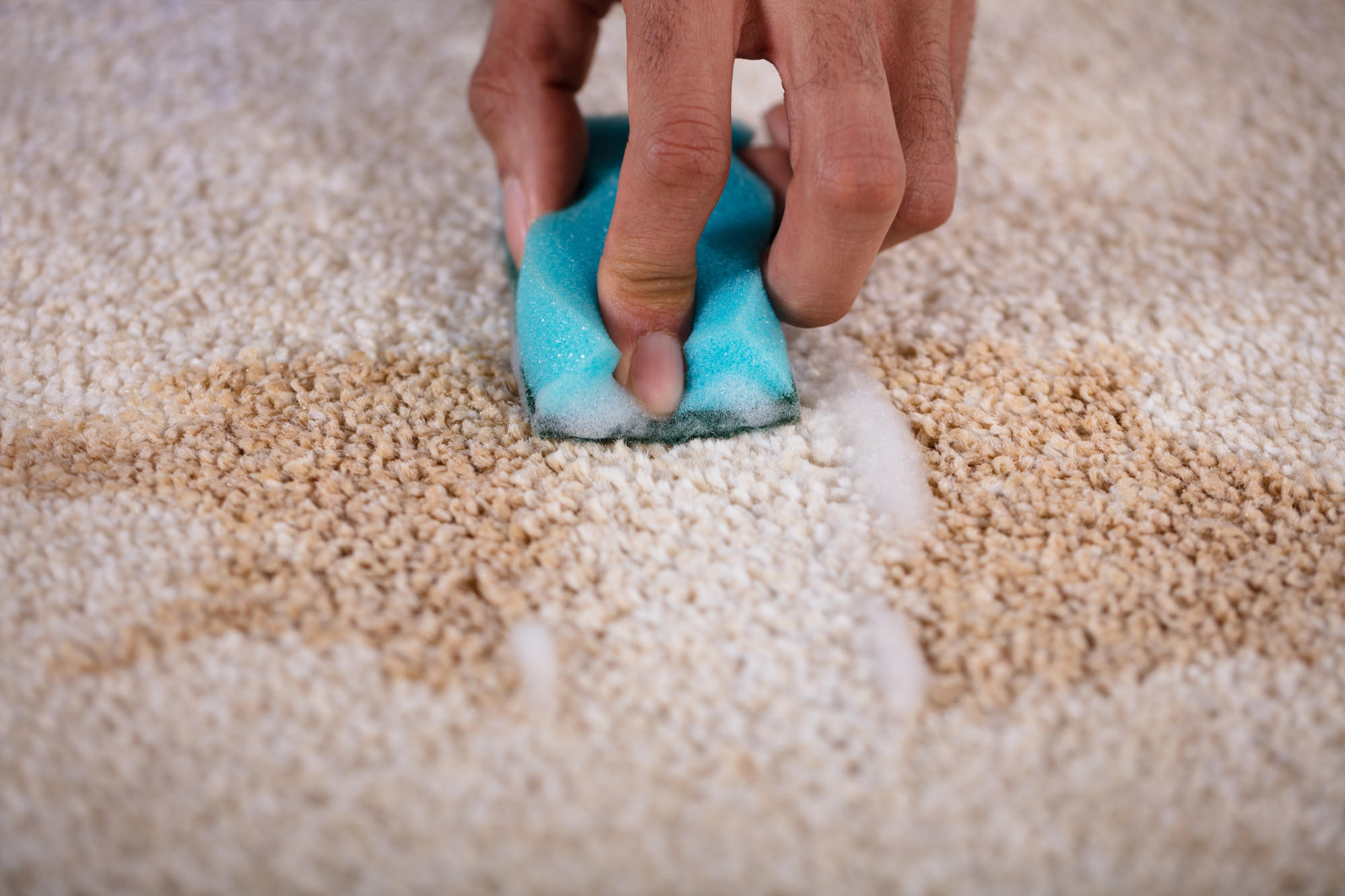 7 Most Common Carpet Stains And How To Easily Remove Them
