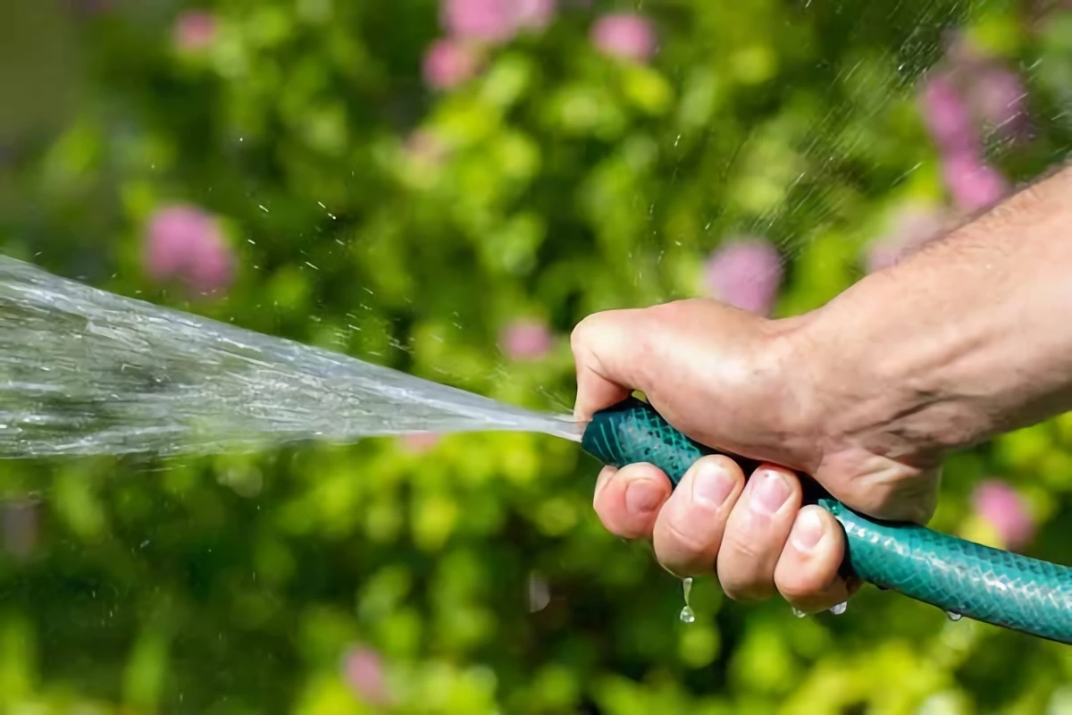 person spraying water with hose
