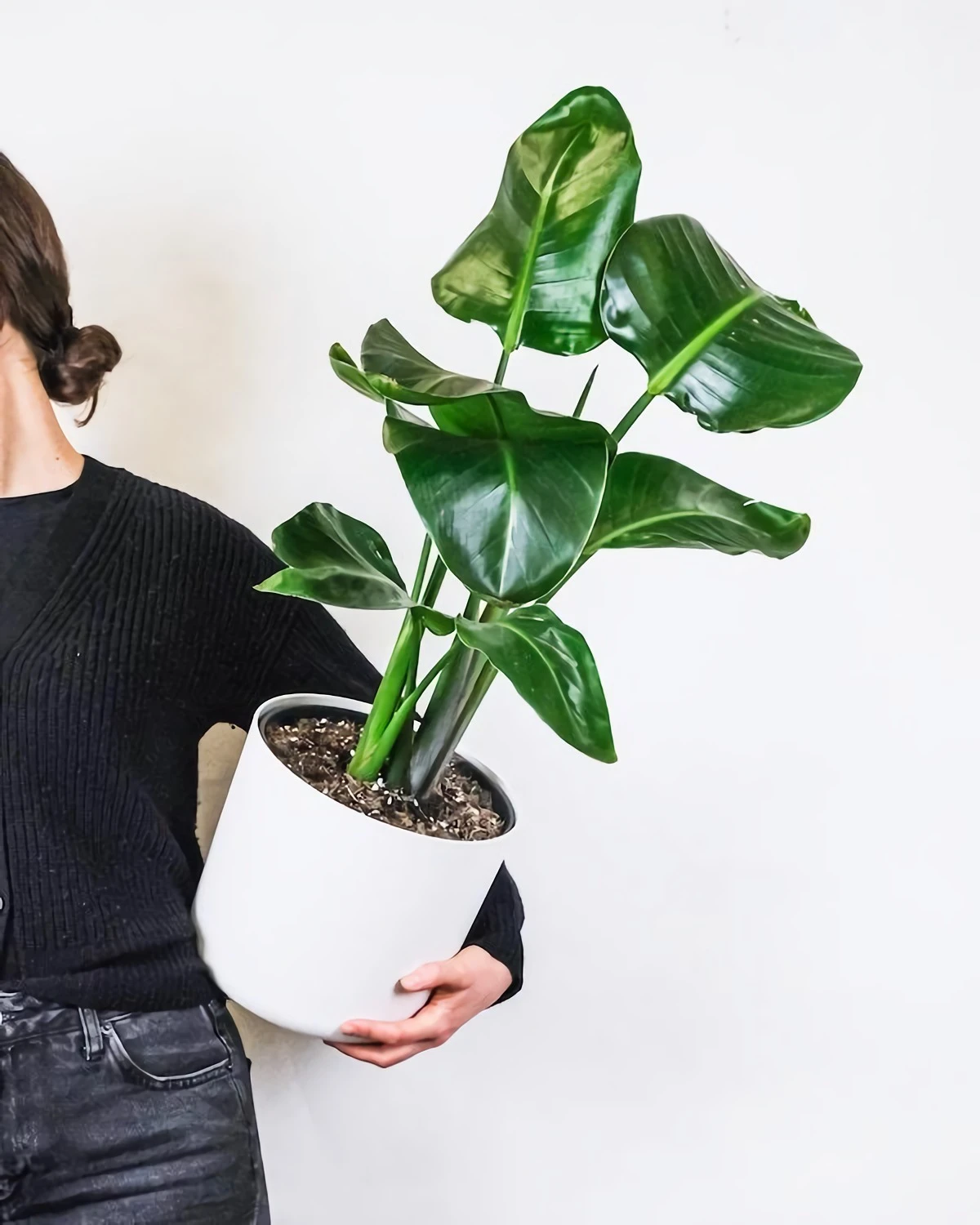 woman holding a big potted plant